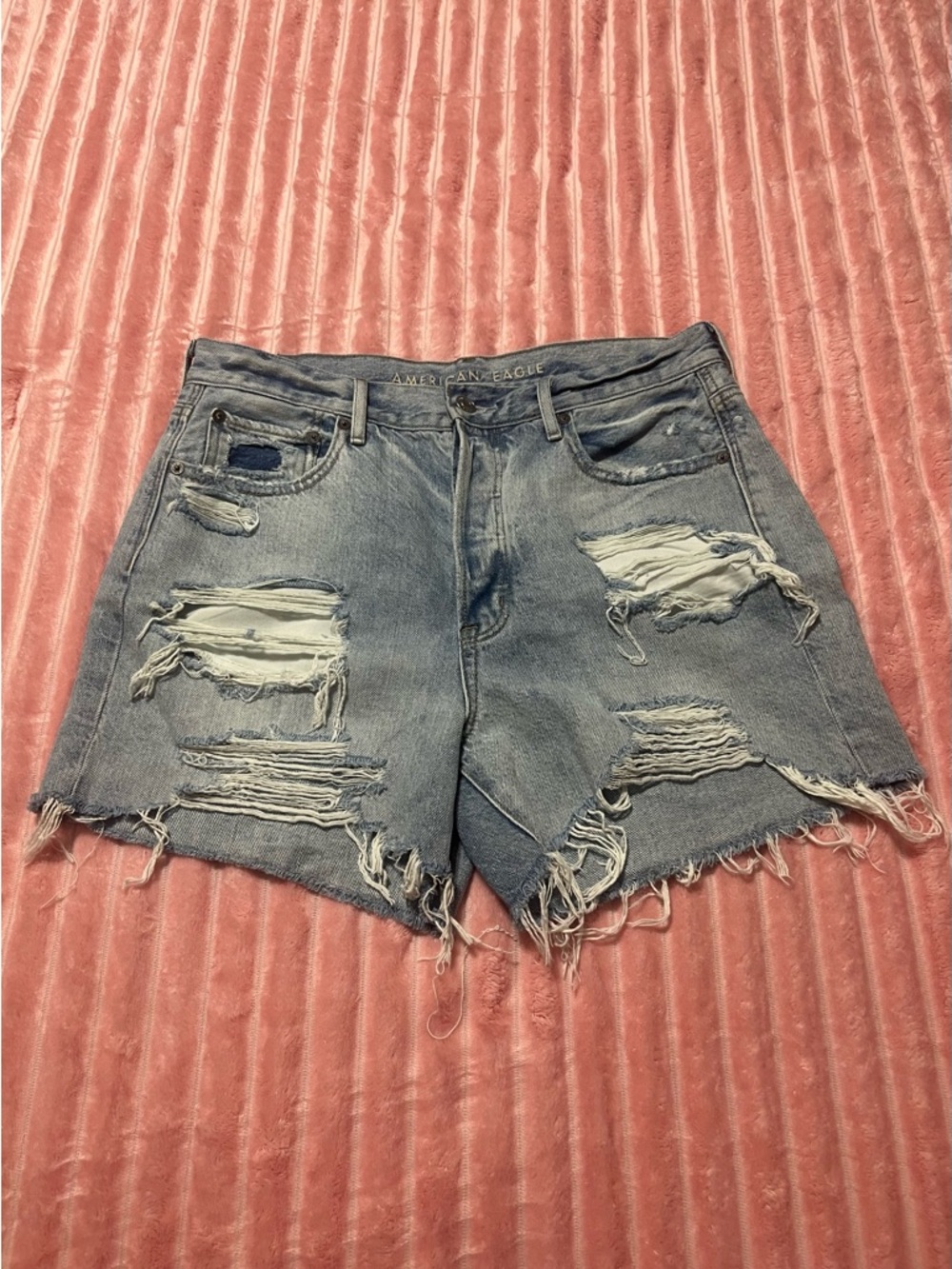 American Eagle Outfitters Distressed Light Blue Denim Cutoff Shorts